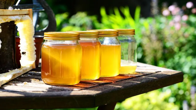 Producción de miel en Antioquia: historia en San Andrés de Cuerquia