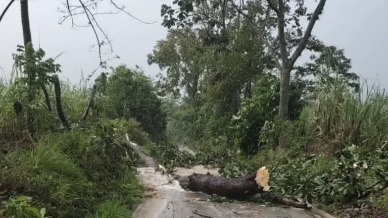 Lluvias en Palmas del Socorro, Santander, dejan afectaciones