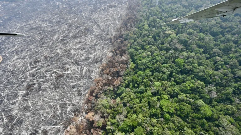 Hoy se conmemora el Día Internacional para la Prevención de la Explotación Ambiental en la Guerra y los Conflictos Armados