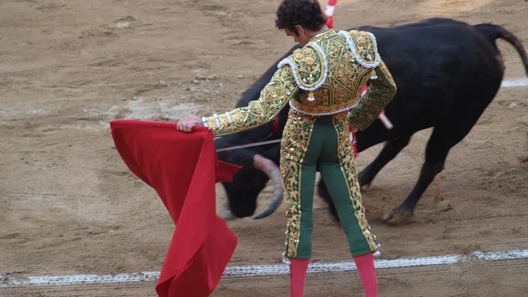 Corridas de toros en Colombia 2024: regulación