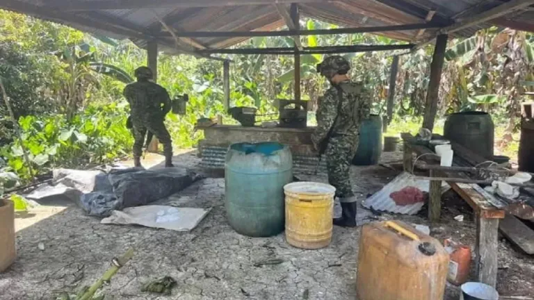 Desmantelan laboratorio de hoja de coca en Guaviare