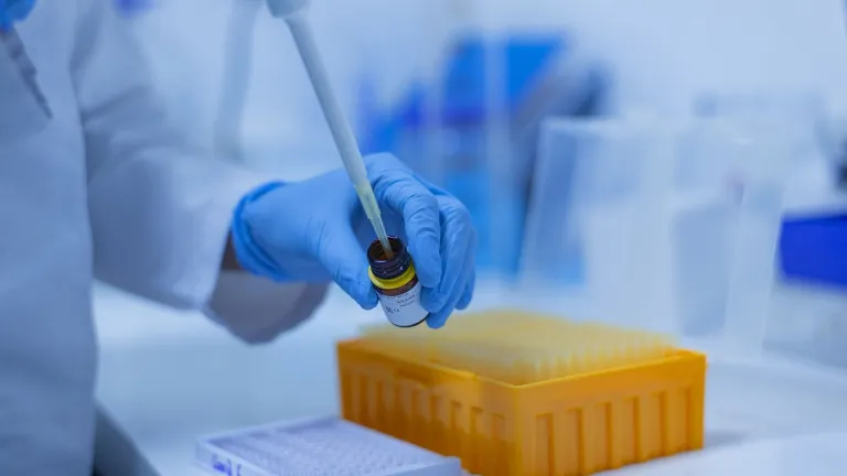 Avance científico: crean estructuras similares a embriones humanos 