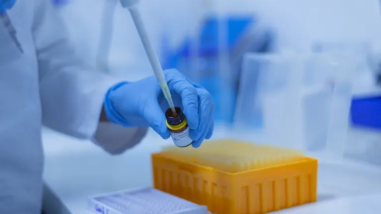 Avance científico: crean estructuras similares a embriones humanos 