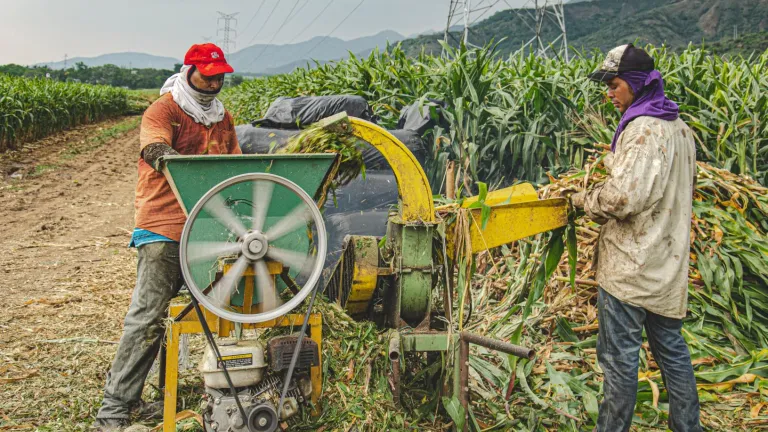Línea Especial de Crédito para campesinos Banco Agrario 