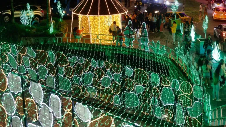 Tradiciones luminosas: un recorrido por los alumbrados que iluminan el corazón de Colombia