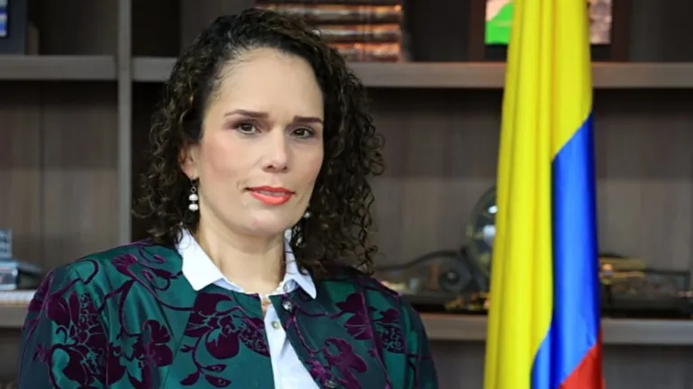 Nueva ministra de Transporte será Maria Constanza García