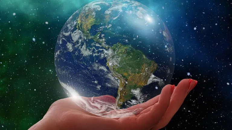 Balance ambiental 2023: logros y desafíos en la protección del medio ambiente