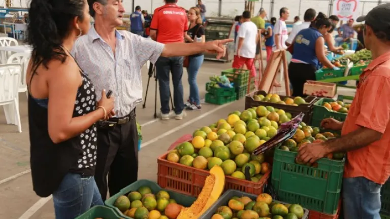 Mercado campesino regional en Villavicencio: apoyo a las víctimas de Quetame