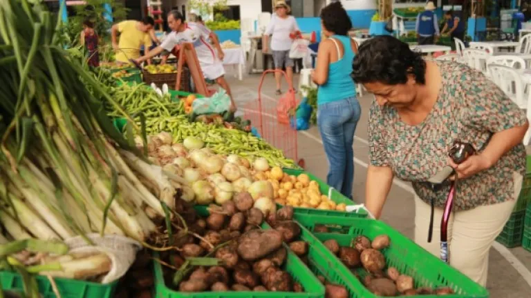 Llanero compra llanero: la oportunidad para que los campesinos del Meta vendan sus productos a entidades públicas