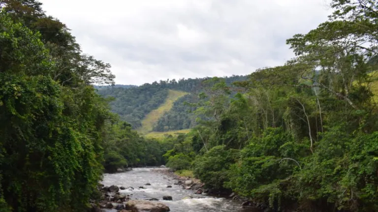Amenazas a firmantes de paz de ETCR Miravalle