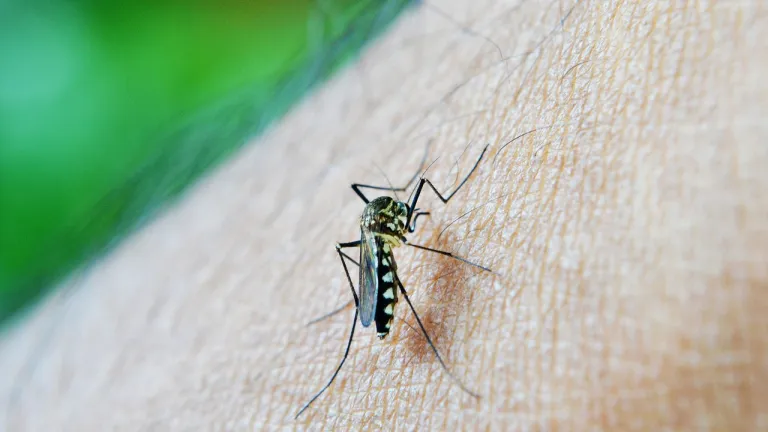 Malaria en Colombia: casos disminuyeron un 8,8 % durante 2021