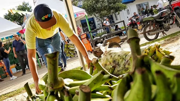 Mercado campesino en el Meta