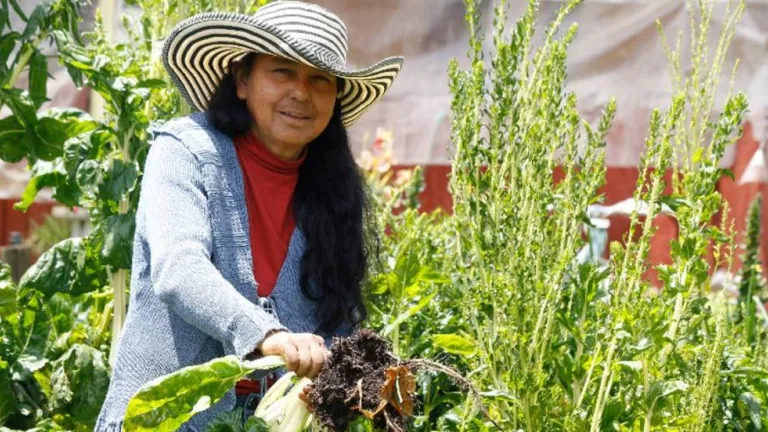 Día Internacional de las Mujeres Rurales 2025