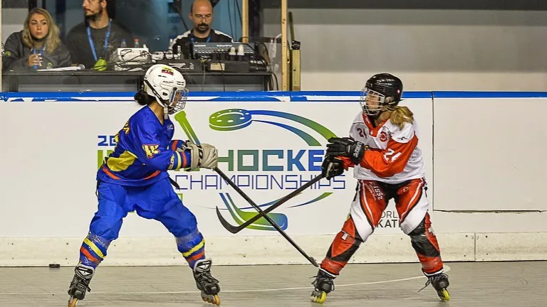Mundial de Hockey en línea