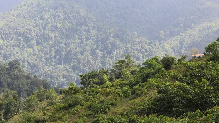 Cristin Ranoqué, bebé perdida en la selva, cumple su primer año de vida 