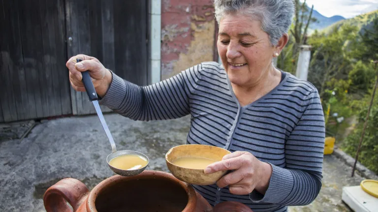 Chicha, bebida tradicional de la cocina colombiana