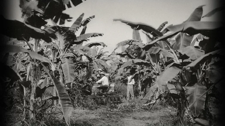 La Masacre de las Bananeras en Cien años de Soledad