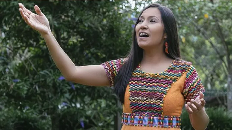 X Festival de Música Andina Colombiana, 'Carlos Álvarez Camacho, el Bajacocos'