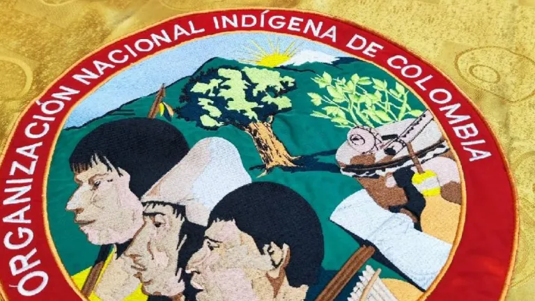 Violencia contra comunidades indígenas ha aumentado en más del 100%: Onic