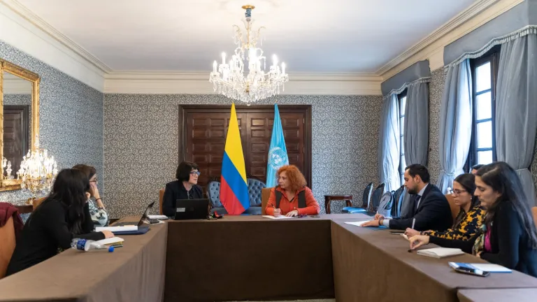 ONU reunión