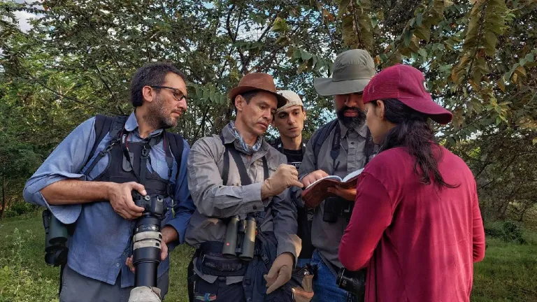 Festival de aves del Huila 2023: programación, especies y eventos