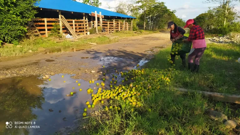 Crisis en Uribe Meta: agricultores de Limón Tahití piden apoyo gubernamental