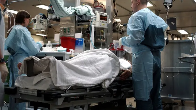muere primer persona por gripe aviar