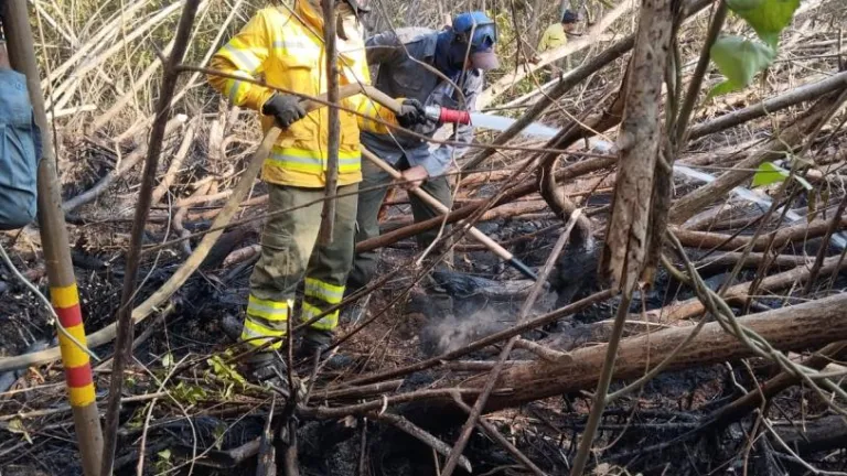 Incendios forestales en Vía Parque Isla Salamanca