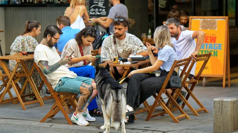 Lugares pet friendly Bogota y Colombia 2023