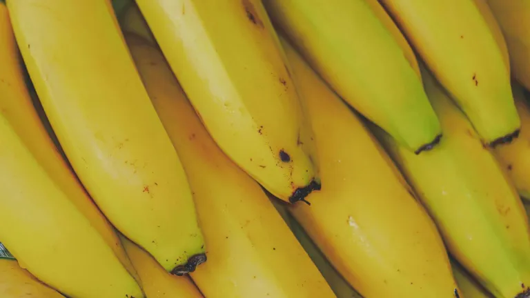 Urabá: Víctimas de Chiquita Brands podrían recibir jugosa indenmización