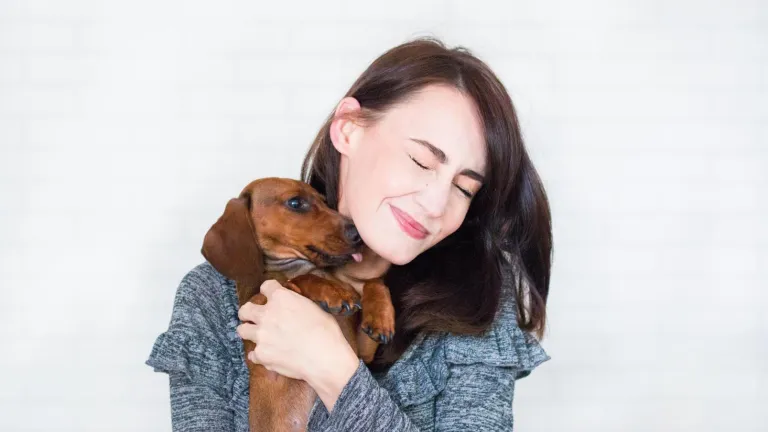Solicitan incluir a los animales de compañía en lista de bienes inembargables