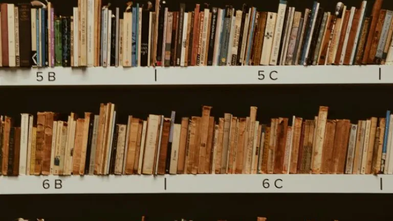 Conoce más sobre la convocatoria Reading Colombia: Bienal del Libro de Sao Paulo