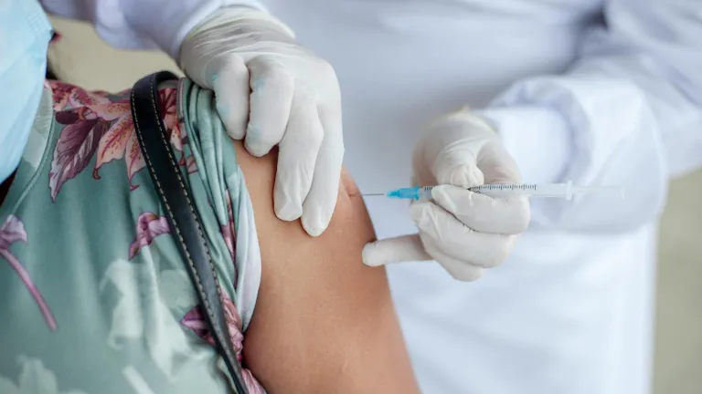 Fiebre amarilla: medidas y restricciones de la emergencia sanitaria 