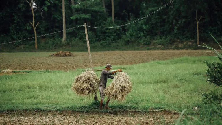 Campesinos en Colombia: Mira este top cinco de libros