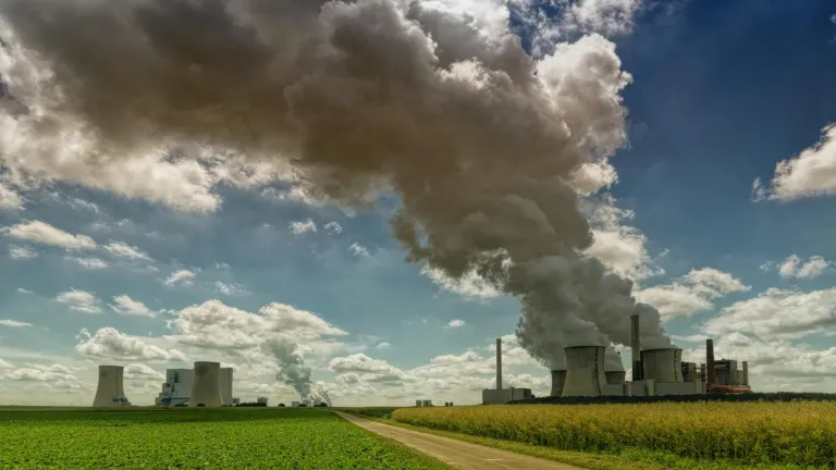 Contaminación ambiental: muertes y consecuencias 