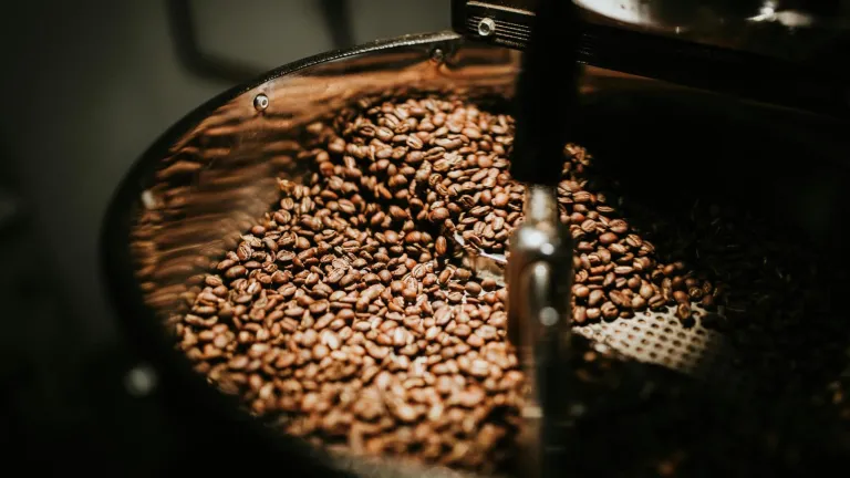 Café: Huila hará exportaciones a Europa