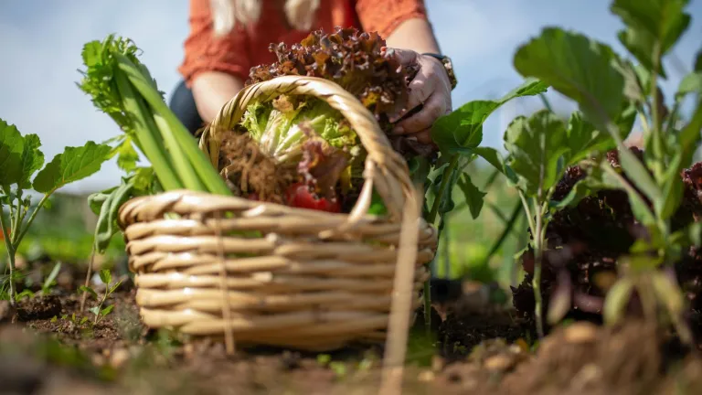 MinAgricultura activa plan de emergencia para abastecimiento de alimentos en paro camionero