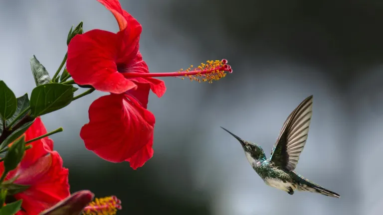 COP16: se conocieron los jóvenes que más saben de biodiversidad