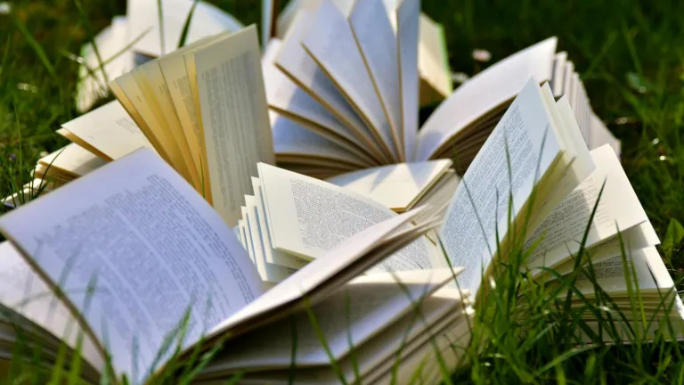 Medio ambiente: cinco libros recomendados