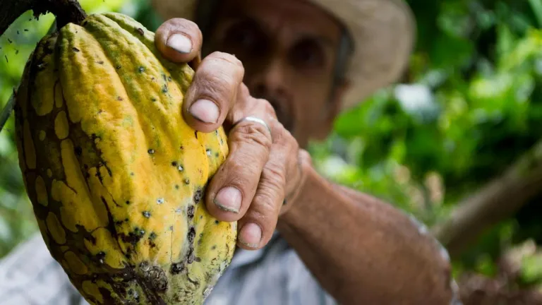 Productores rurales de Colombia en la Exposición de Importaciones en China