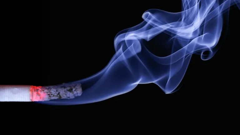 Tabaco: OMS sugiere prohibirlo