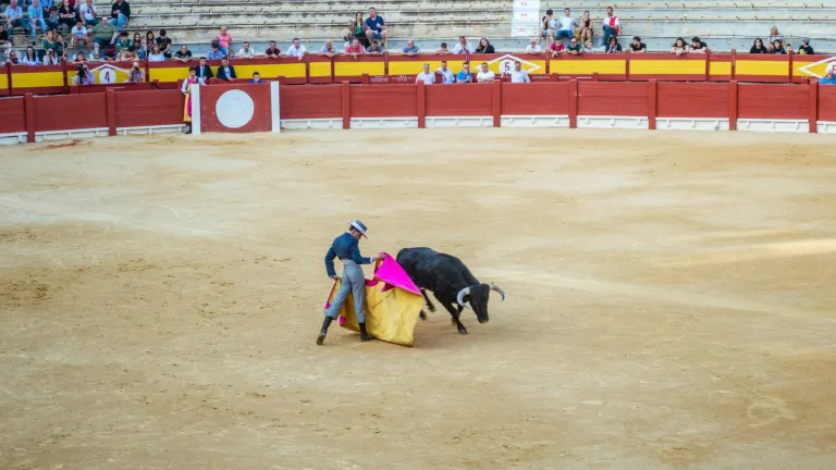 Corridas de toros: Se aprobó en el congreso su prohibición