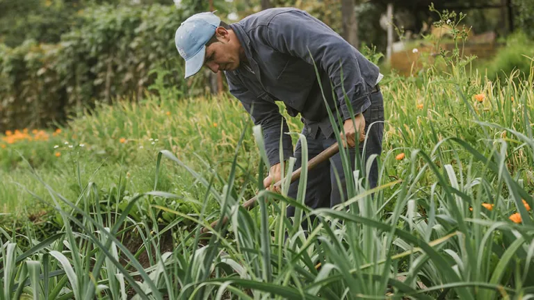 Jurisdicción Agraria Rural: ABC en qué consiste y avance en Congreso 