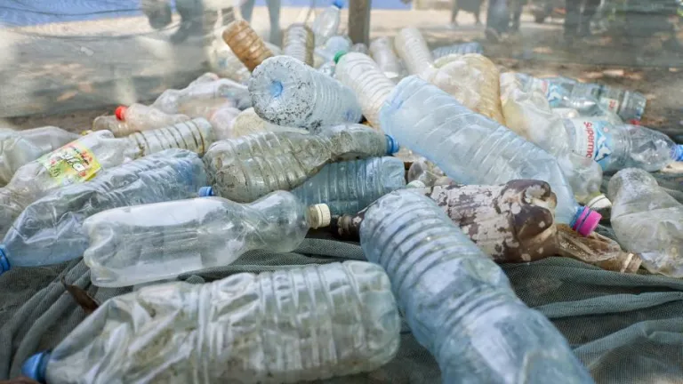 "Para 2050, podría haber más plástico que peces en los océanos", ONU 