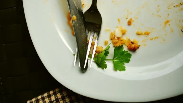 Desperdicio de alimentos: "spam de platos limpios" WWF Colombia