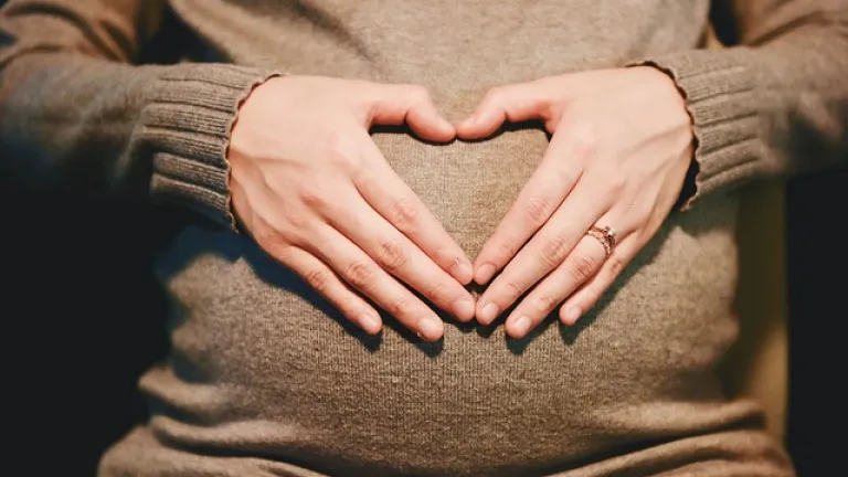 Proyecto de ley sobre madres gestantes