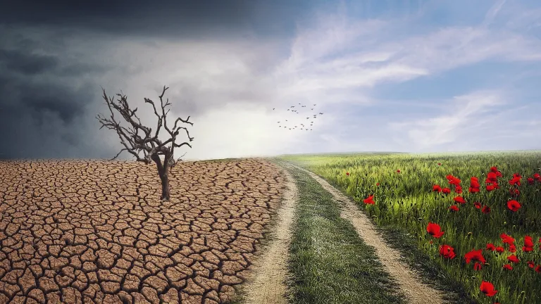 Gobierno tendrá seis meses para desarrollar ley de gestión climática 