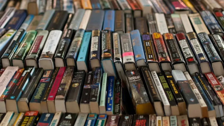 Mujeres afrocolombianas y su rol en la literatura