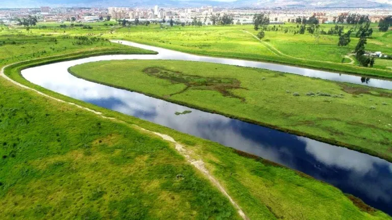 Procuraduría pidió a MinAmbiente gestionar especie invasora en río Bogotá 