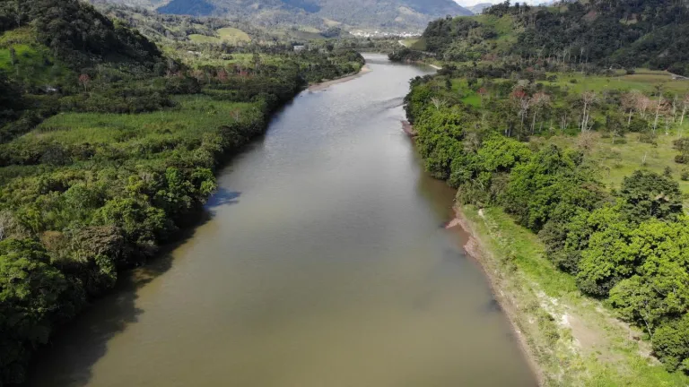 Amazonía en "alerta roja" por deforestación y contaminación
